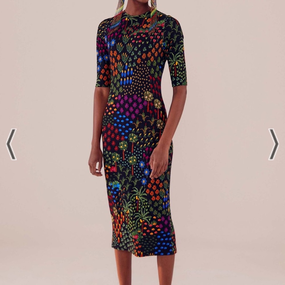BNWT Farm Rio black fruit garden dress